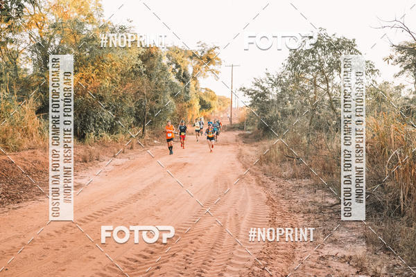 Buy your photos of the eventUltramaratona Trail Run CS 2019 on Fotop