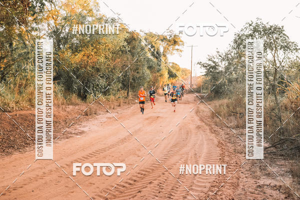 Buy your photos of the eventUltramaratona Trail Run CS 2019 on Fotop