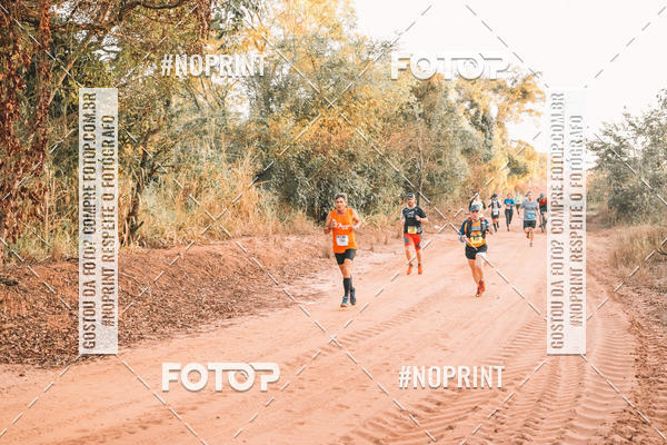Buy your photos of the eventUltramaratona Trail Run CS 2019 on Fotop