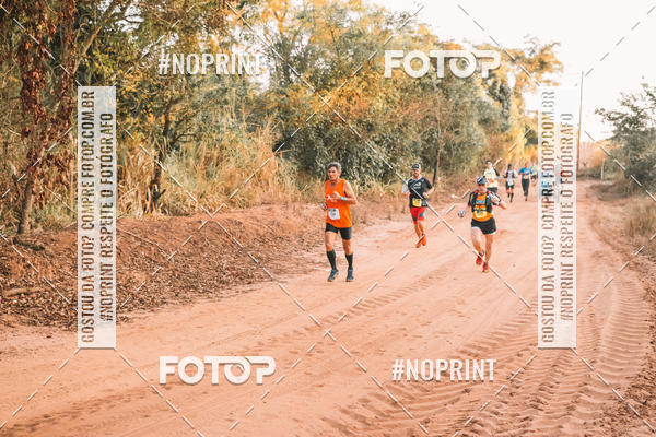 Buy your photos of the eventUltramaratona Trail Run CS 2019 on Fotop