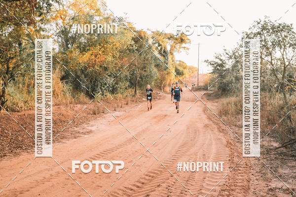 Buy your photos of the eventUltramaratona Trail Run CS 2019 on Fotop