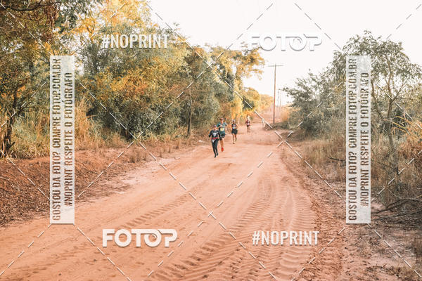 Buy your photos of the eventUltramaratona Trail Run CS 2019 on Fotop