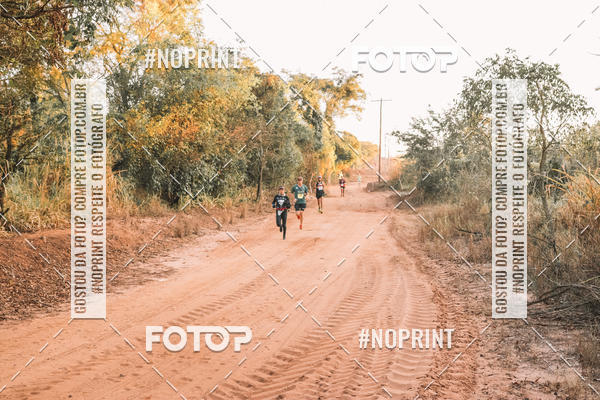 Buy your photos of the eventUltramaratona Trail Run CS 2019 on Fotop