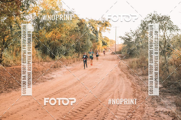 Buy your photos of the eventUltramaratona Trail Run CS 2019 on Fotop