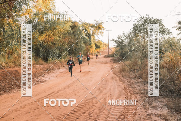 Buy your photos of the eventUltramaratona Trail Run CS 2019 on Fotop
