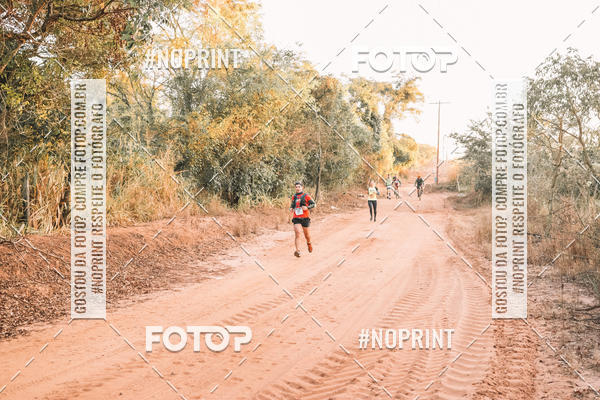 Buy your photos of the eventUltramaratona Trail Run CS 2019 on Fotop