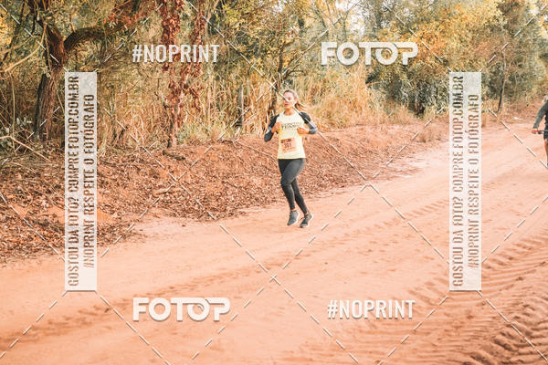 Buy your photos of the eventUltramaratona Trail Run CS 2019 on Fotop