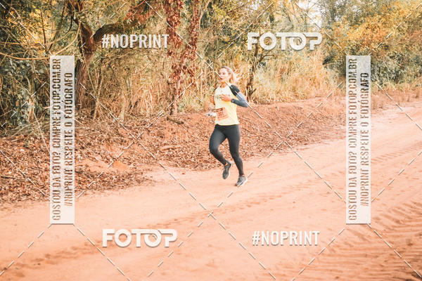 Buy your photos of the eventUltramaratona Trail Run CS 2019 on Fotop