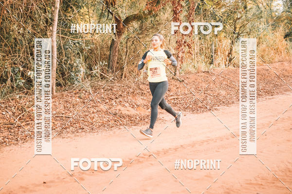 Buy your photos of the eventUltramaratona Trail Run CS 2019 on Fotop