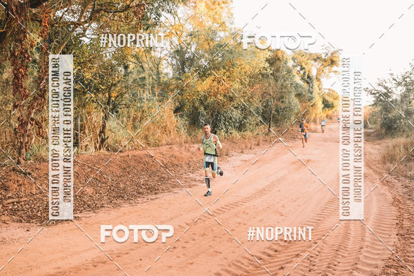Buy your photos of the eventUltramaratona Trail Run CS 2019 on Fotop