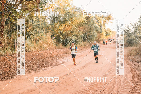 Buy your photos of the eventUltramaratona Trail Run CS 2019 on Fotop