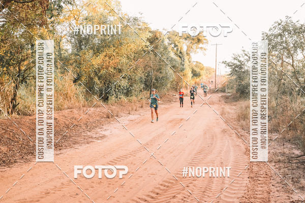 Buy your photos of the eventUltramaratona Trail Run CS 2019 on Fotop