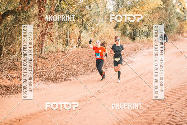 Buy your photos of the eventUltramaratona Trail Run CS 2019 on Fotop
