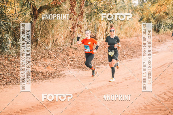 Buy your photos of the eventUltramaratona Trail Run CS 2019 on Fotop