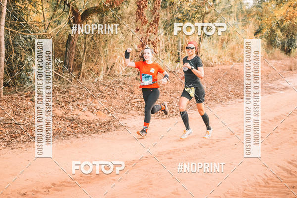 Buy your photos of the eventUltramaratona Trail Run CS 2019 on Fotop