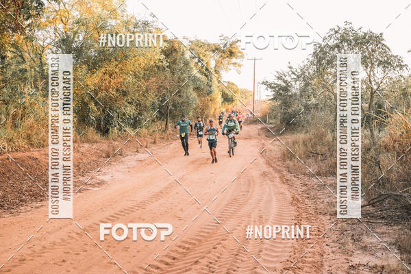 Buy your photos of the eventUltramaratona Trail Run CS 2019 on Fotop