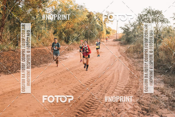 Buy your photos of the eventUltramaratona Trail Run CS 2019 on Fotop