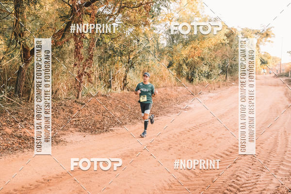 Buy your photos of the eventUltramaratona Trail Run CS 2019 on Fotop