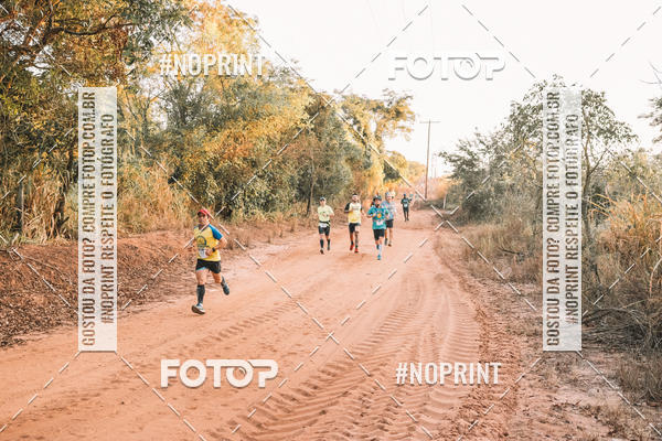 Buy your photos of the eventUltramaratona Trail Run CS 2019 on Fotop