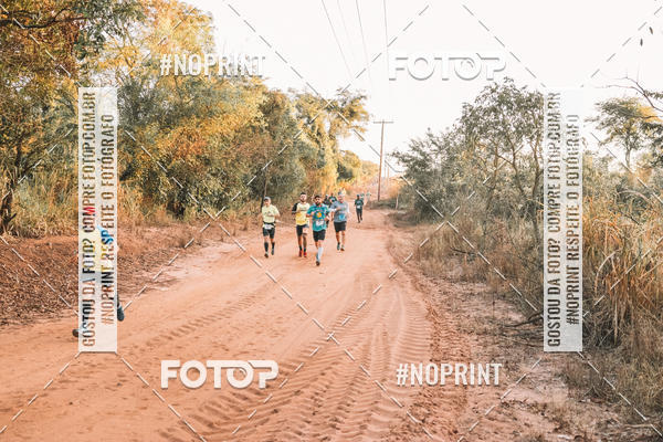 Buy your photos of the eventUltramaratona Trail Run CS 2019 on Fotop