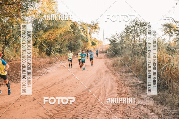 Buy your photos of the eventUltramaratona Trail Run CS 2019 on Fotop