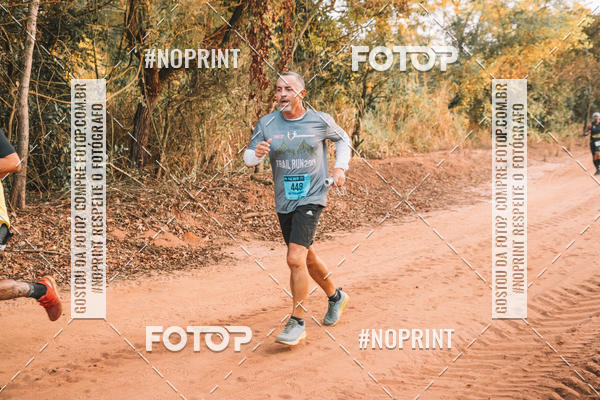 Buy your photos of the eventUltramaratona Trail Run CS 2019 on Fotop