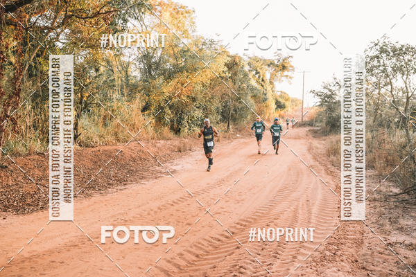 Buy your photos of the eventUltramaratona Trail Run CS 2019 on Fotop