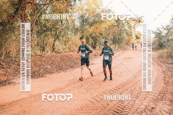 Buy your photos of the eventUltramaratona Trail Run CS 2019 on Fotop