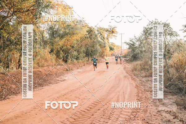 Buy your photos of the eventUltramaratona Trail Run CS 2019 on Fotop