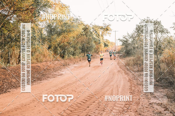 Buy your photos of the eventUltramaratona Trail Run CS 2019 on Fotop