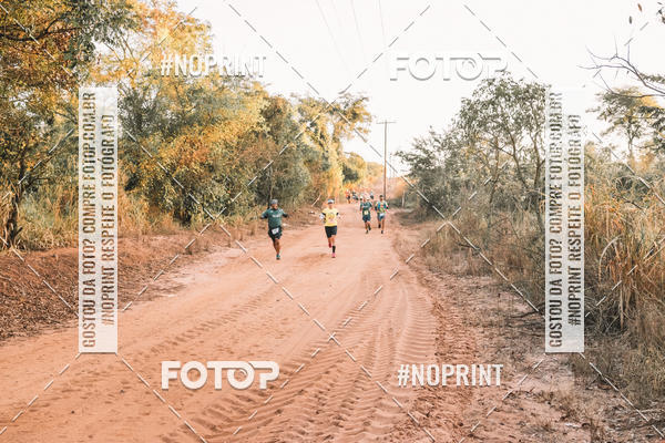 Buy your photos of the eventUltramaratona Trail Run CS 2019 on Fotop