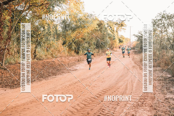 Buy your photos of the eventUltramaratona Trail Run CS 2019 on Fotop