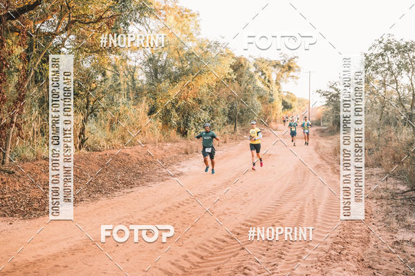 Buy your photos of the eventUltramaratona Trail Run CS 2019 on Fotop