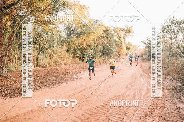 Buy your photos of the eventUltramaratona Trail Run CS 2019 on Fotop
