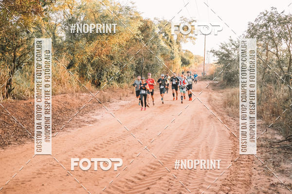 Buy your photos of the eventUltramaratona Trail Run CS 2019 on Fotop
