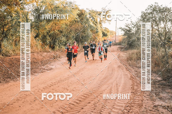 Buy your photos of the eventUltramaratona Trail Run CS 2019 on Fotop