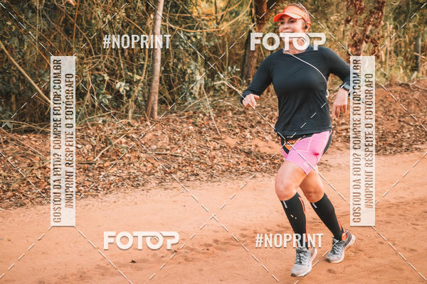 Buy your photos of the eventUltramaratona Trail Run CS 2019 on Fotop