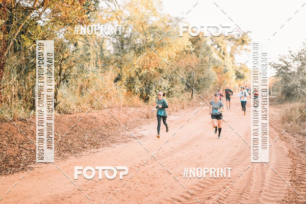 Buy your photos of the eventUltramaratona Trail Run CS 2019 on Fotop