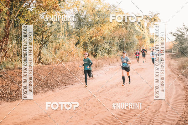 Buy your photos of the eventUltramaratona Trail Run CS 2019 on Fotop