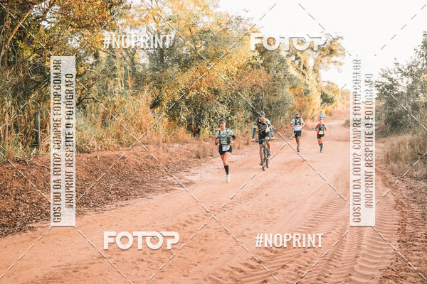 Buy your photos of the eventUltramaratona Trail Run CS 2019 on Fotop