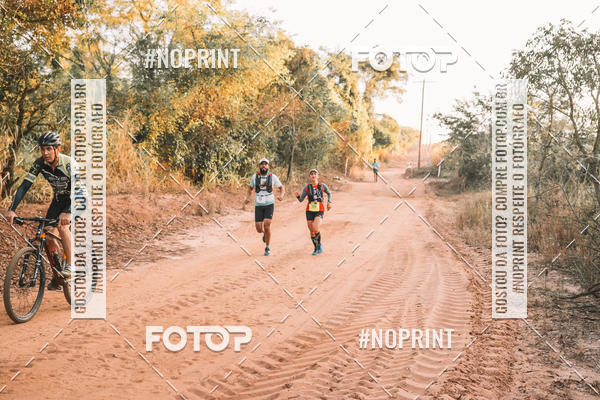 Buy your photos of the eventUltramaratona Trail Run CS 2019 on Fotop