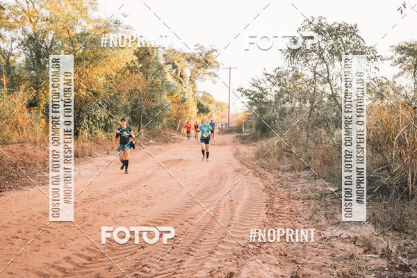 Buy your photos of the eventUltramaratona Trail Run CS 2019 on Fotop
