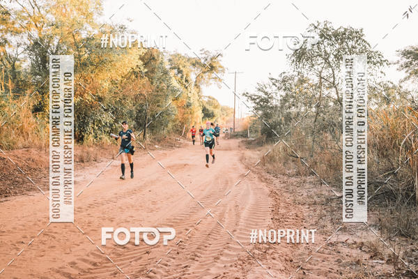 Buy your photos of the eventUltramaratona Trail Run CS 2019 on Fotop