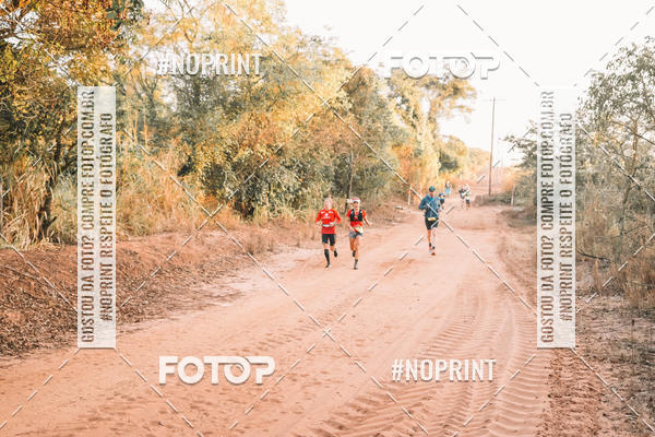 Buy your photos of the eventUltramaratona Trail Run CS 2019 on Fotop
