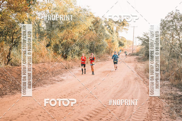 Buy your photos of the eventUltramaratona Trail Run CS 2019 on Fotop