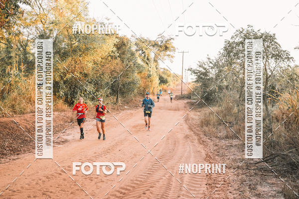 Buy your photos of the eventUltramaratona Trail Run CS 2019 on Fotop