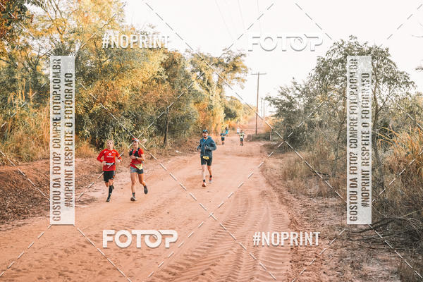 Buy your photos of the eventUltramaratona Trail Run CS 2019 on Fotop