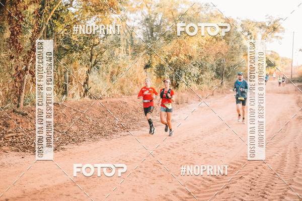 Buy your photos of the eventUltramaratona Trail Run CS 2019 on Fotop