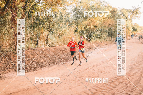 Buy your photos of the eventUltramaratona Trail Run CS 2019 on Fotop