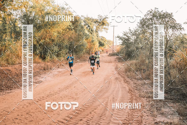 Buy your photos of the eventUltramaratona Trail Run CS 2019 on Fotop